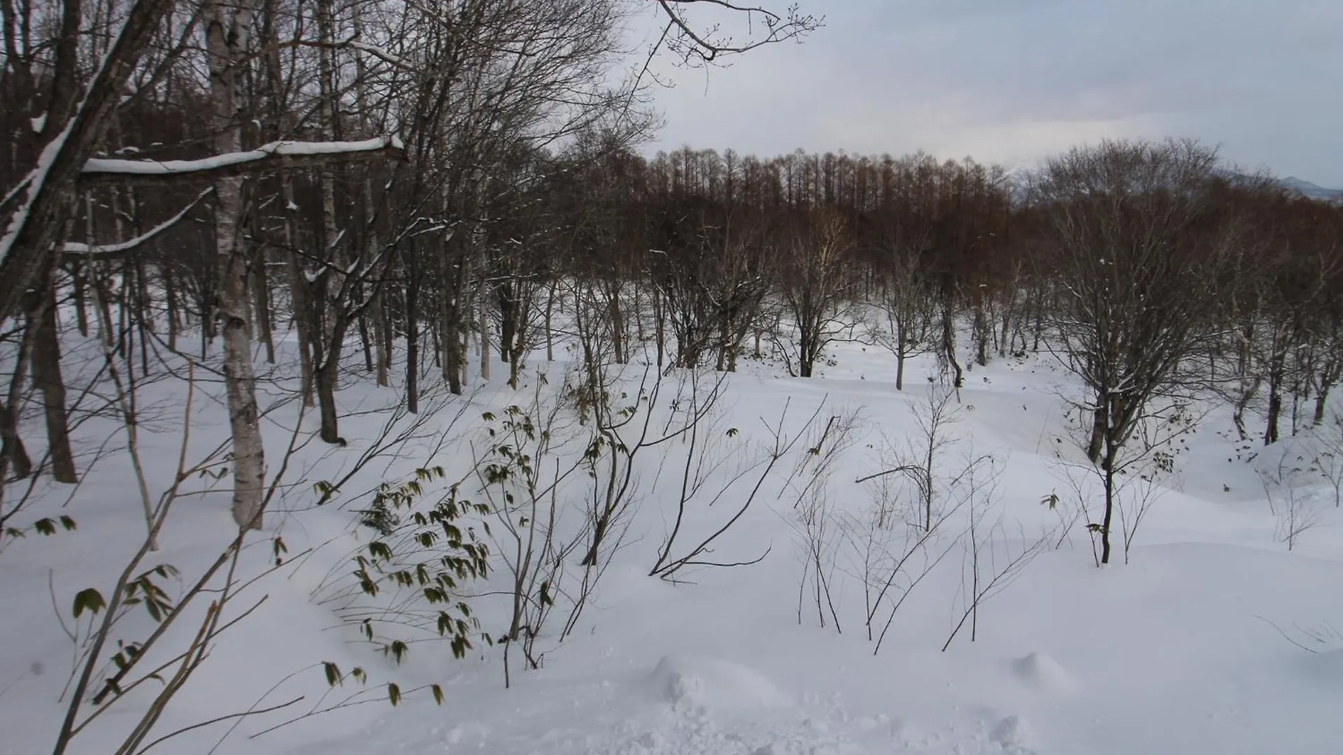 Guest house Forest Hideaway - Vacation Stay 09982V Niseko