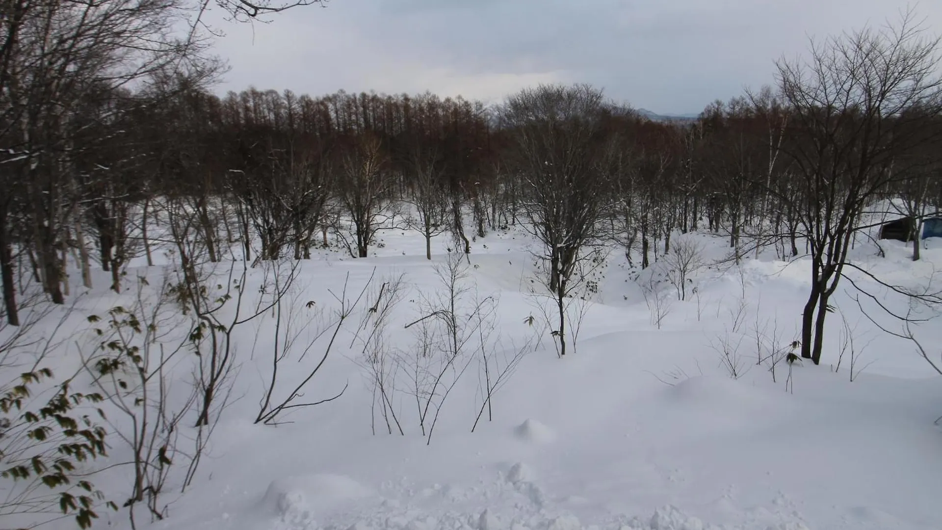 Guest house Forest Hideaway - Vacation Stay 09982V Niseko