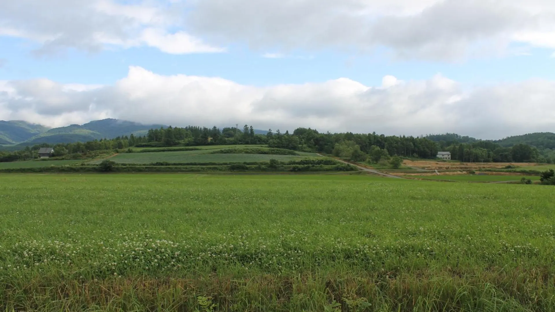 Forest Hideaway - Vacation Stay 09982V Niseko 0*,  Japan